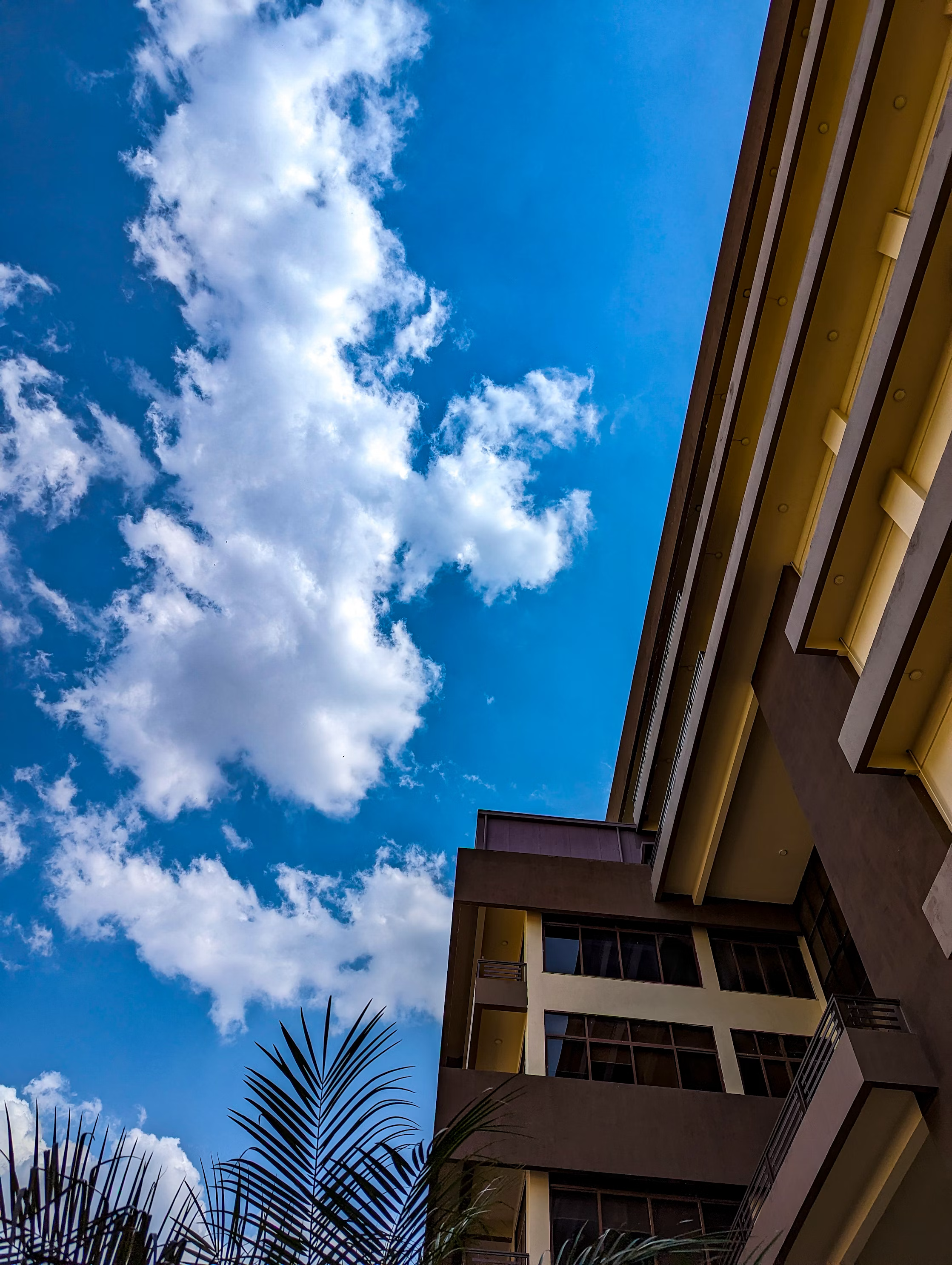 Picture of building and sky